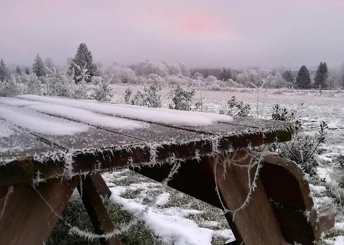 Le Hurlement Du Loup 3* Tailles